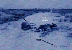 IED network