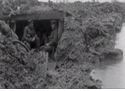 WW1 Armistice